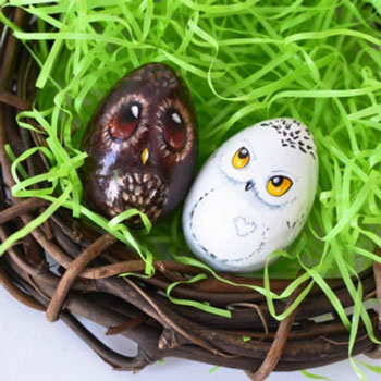 Bagoly húsvéti tojás - különleges húsvéti tojásfestés lépésről lépésre