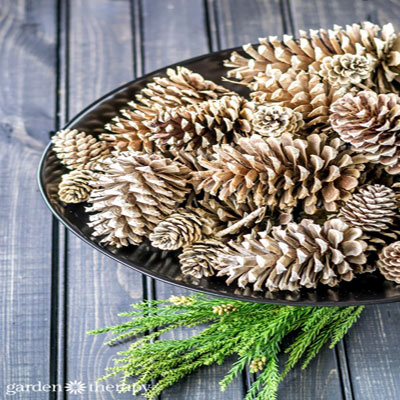 How to make beached pinecones